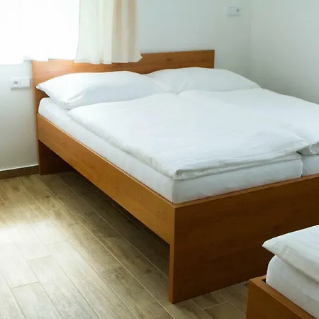 Sofia לוהקוביק